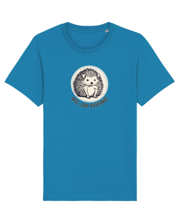 ARICI 6 - MIC, DAR PUTERNIC Azur