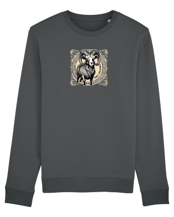 BERBEC 2 - EWE, AMAZING! Anthracite