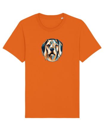 CAINE 1 Bright Orange