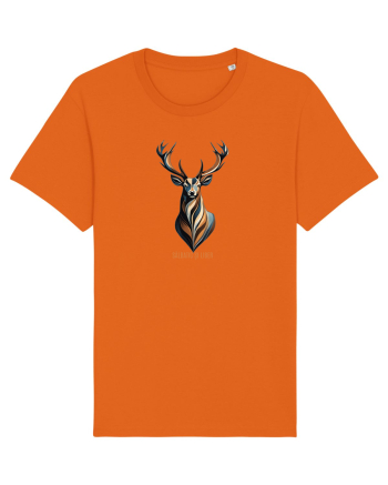 CERB 4 - SALBATIC SI LIBER Bright Orange