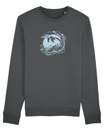DELFIN  2 - SARIND DIN APA Anthracite