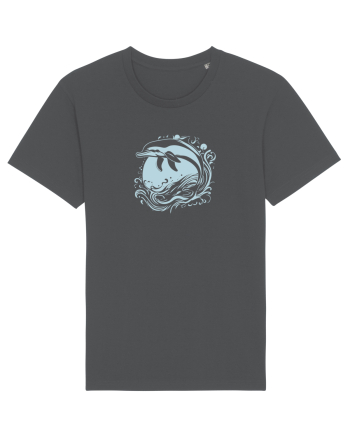 DELFIN  2 - SARIND DIN APA Anthracite