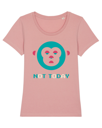 Not Today Monkey Canyon Pink