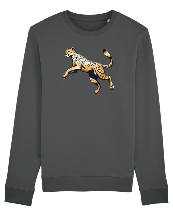 GHEPARD 1 ALERGAND - SARIND Anthracite