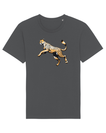 GHEPARD 1 ALERGAND - SARIND Anthracite