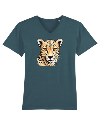 GHEPARD 2 - MISTERIOS Stargazer