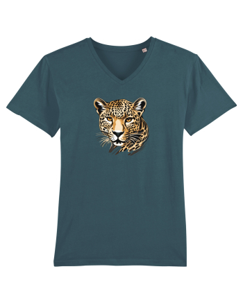LEOPARD 1 Stargazer