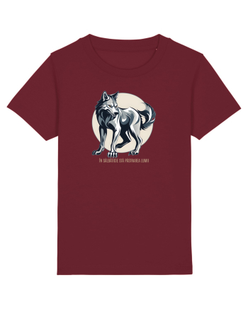 LUP 4 - IN SALBATICIE STA PASTRAREA LUMII Burgundy