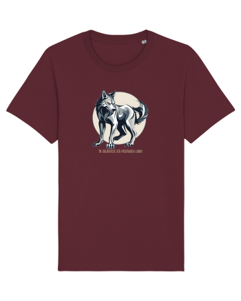 LUP 4 - IN SALBATICIE STA PASTRAREA LUMII Burgundy