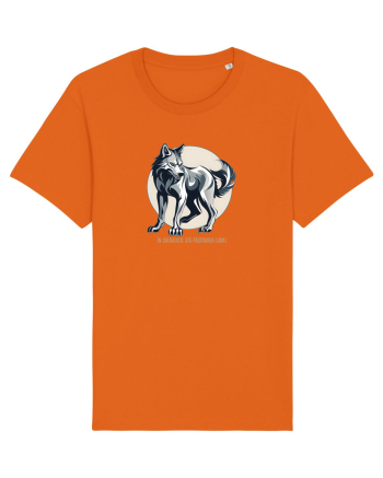 LUP 4 - IN SALBATICIE STA PASTRAREA LUMII Bright Orange