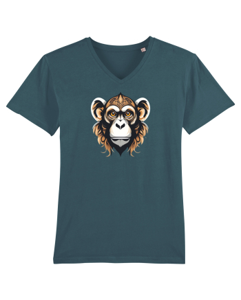 MAIMUTA 1 - CIMPANZEU BONOBO Stargazer