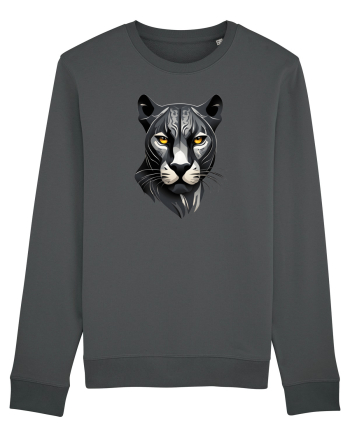 PANTERA NEAGRA 1 Anthracite