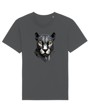 PANTERA NEAGRA 1 Anthracite