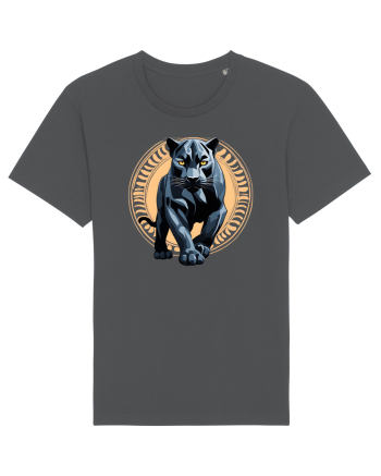 PANTERA NEAGRA 5 Anthracite