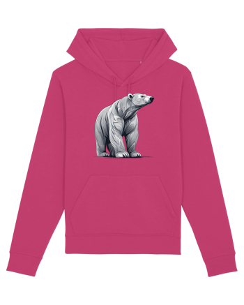 URS  POLAR Raspberry