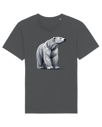 URS  POLAR Anthracite
