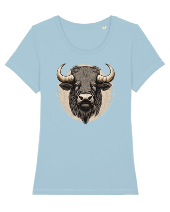 ZIMBRU 1 - arta ornamentala Sky Blue