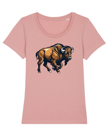 ZIMBRU 2 Canyon Pink
