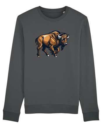 ZIMBRU 2 Anthracite