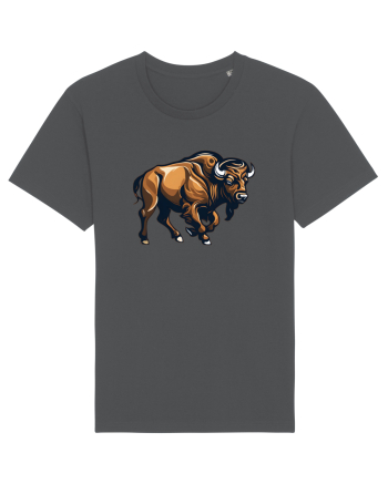 ZIMBRU 2 Anthracite