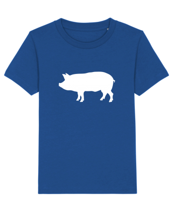 Porc Majorelle Blue