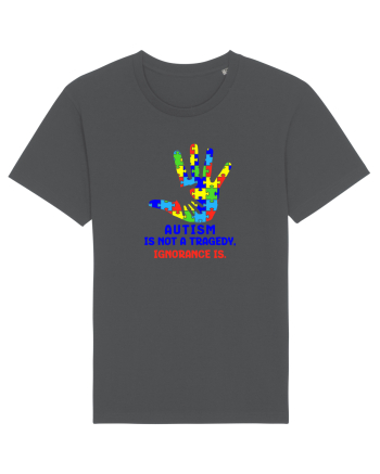 Autism is not a tragedy Anthracite