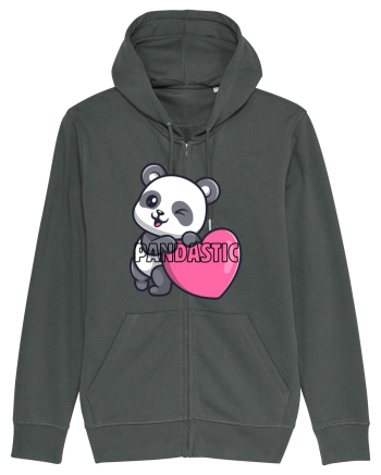 PANDASTIC  Anthracite