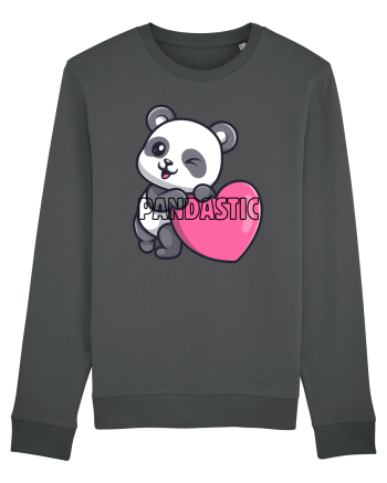 PANDASTIC  Anthracite