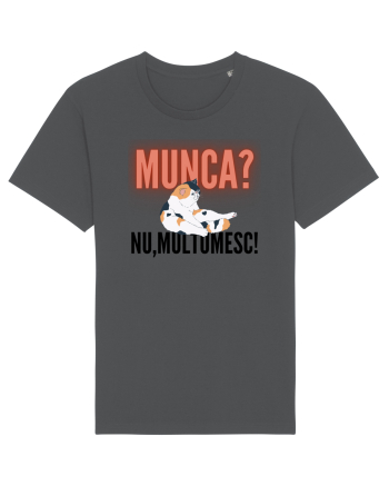 Munca?Nu mulțumesc! Anthracite