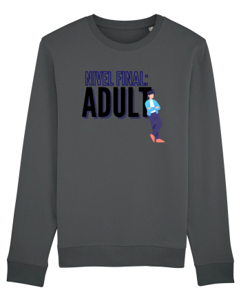 Nivel final:Adult Anthracite