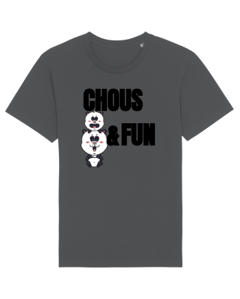 Chaos and fun Anthracite