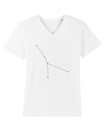 Zodia şi constelaţia Racului Tricou mânecă scurtă guler V Bărbat Presenter