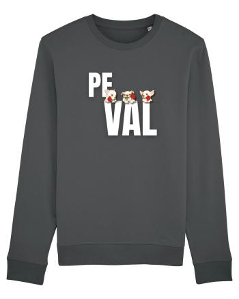 Pe val Anthracite