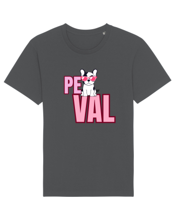 Pe val Anthracite