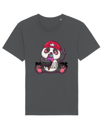 Pandalicios  Anthracite