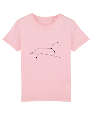 Zodia şi constelaţia Leului Cotton Pink