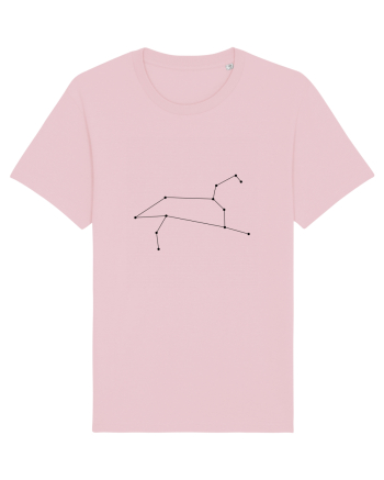 Zodia şi constelaţia Leului Cotton Pink