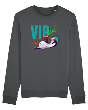 Vip local Anthracite