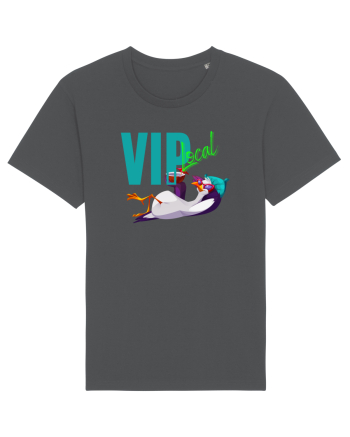 Vip local Anthracite