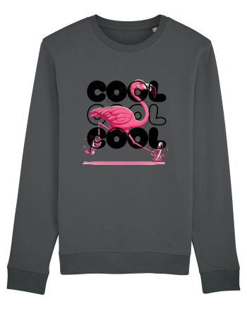 Cool Anthracite