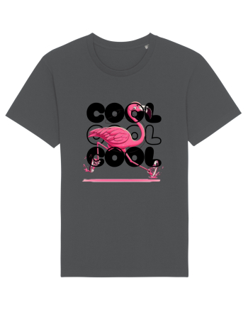 Cool Anthracite