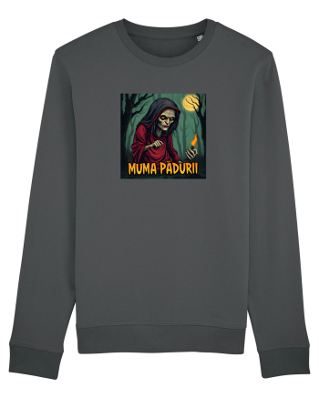 MUMA PADURII 1 Anthracite