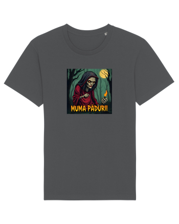 MUMA PADURII 1 Anthracite