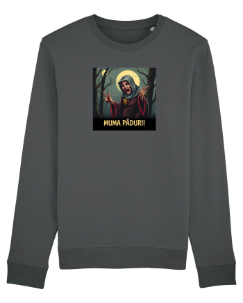 MUMA PADURII 2 Anthracite