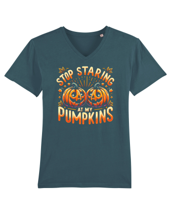 STOP STARING AT MY PUMPKINS - NU TE MAI UITA LA DOVLECII MEI Stargazer