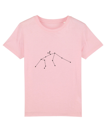 Zodia şi constelaţia Vărsătorului Cotton Pink