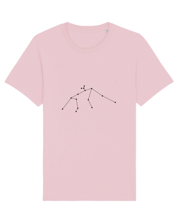 Zodia şi constelaţia Vărsătorului Cotton Pink