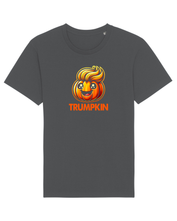 TRUMPKIN Anthracite