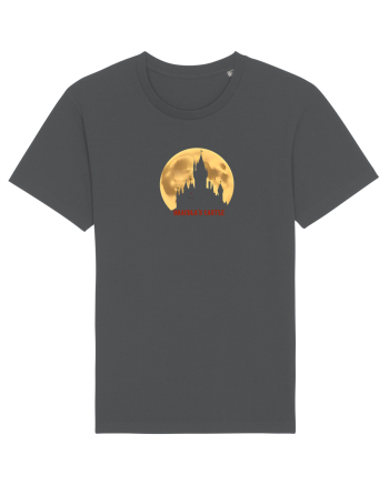 DRACULA`S CASTLE Anthracite