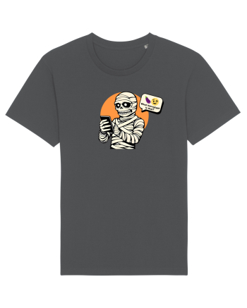 MUMMY - WHAT HIEROGLYPH IS THAT?!? Anthracite